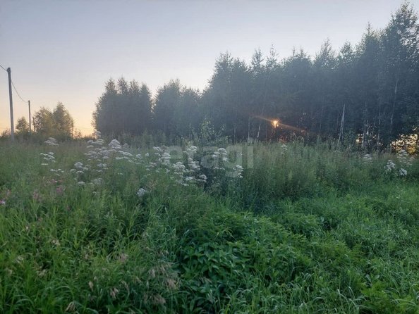 
  Продается земельный участок, 10 соток, село Ребровка
. Фото 2.