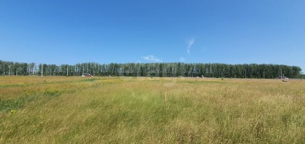 
  Продается земельный участок, 9.5 соток, село Усть-Заостровка
. Фото 3.