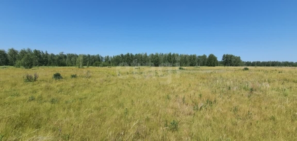 
  Продается земельный участок, 10.64 соток, село Усть-Заостровка
. Фото 2.