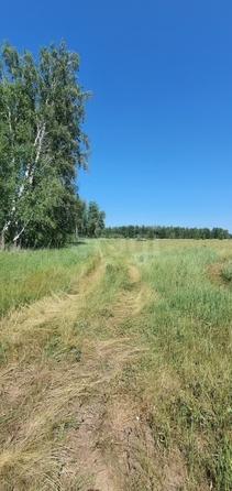 
  Продается земельный участок, 10.25 соток, село Усть-Заостровка
. Фото 3.