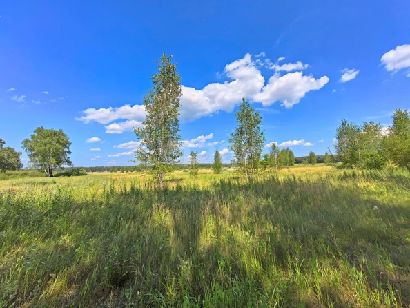 
  Продается земельный участок, 13 соток, село Усть-Заостровка
. Фото 2.