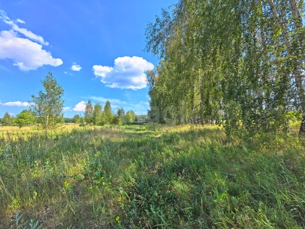 
  Продается земельный участок, 13 соток, село Усть-Заостровка
. Фото 4.