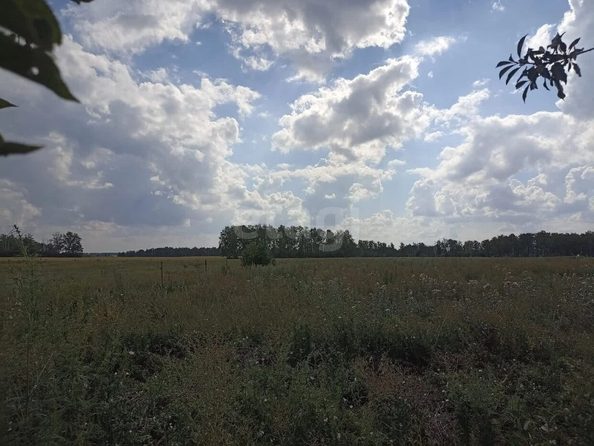 
  Продается земельный участок, 20 соток, село Любино-Малороссы
. Фото 4.