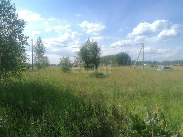 
  Продается земельный участок, 12.26 соток, село Усть-Заостровка
. Фото 2.