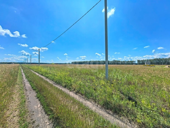 
  Продается земельный участок, 15 соток, село Усть-Заостровка
. Фото 4.