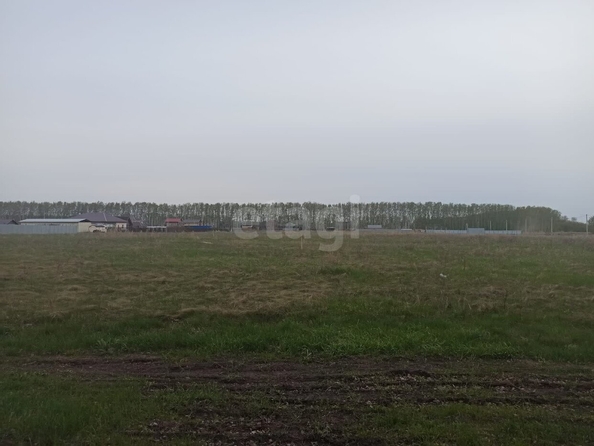 
  Продается земельный участок, 10 соток, село Усть-Заостровка
. Фото 1.
