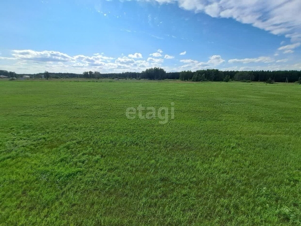 
  Продается земельный участок, 12.9 соток, село Красноярка
. Фото 3.