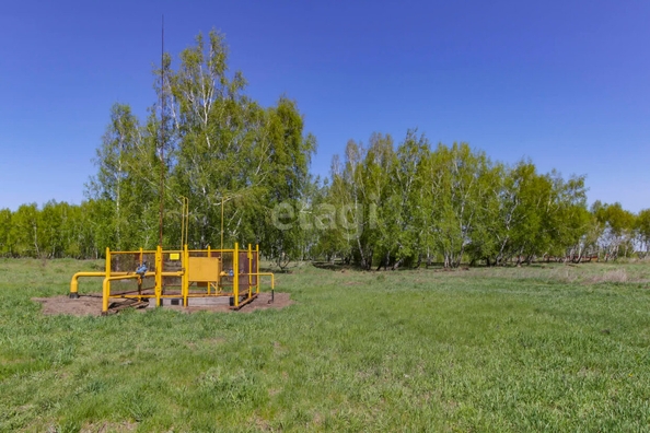 
  Продается земельный участок, 12 соток, Омск
. Фото 1.