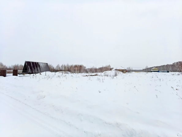 
  Продается земельный участок, 12 соток, поселок Иртышский
. Фото 1.