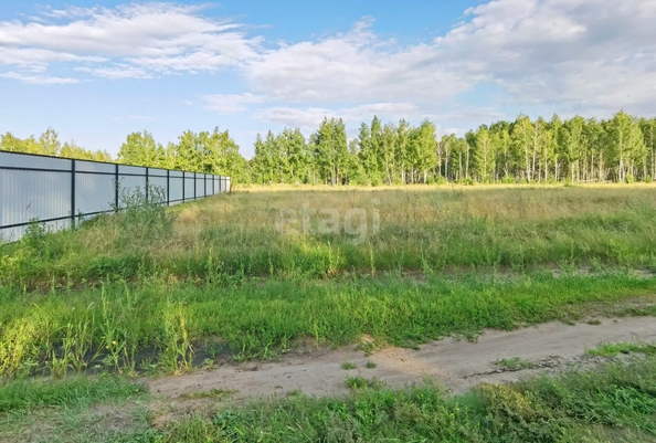 
  Продается земельный участок, 15 соток, село Усть-Заостровка
. Фото 1.