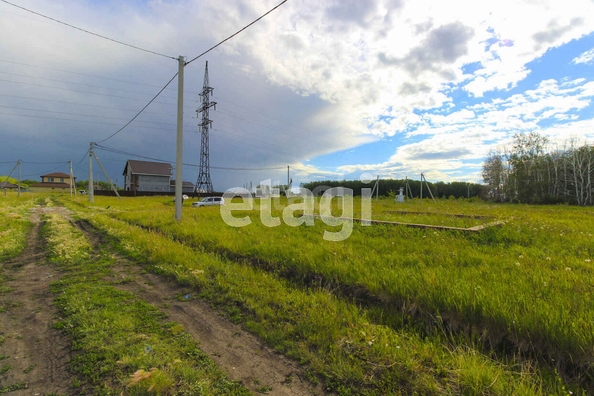 
  Продается земельный участок, 10.9 соток, село Ребровка
. Фото 3.