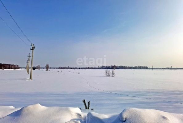 
  Продается земельный участок, 14.2 соток, село Красноярка
. Фото 4.