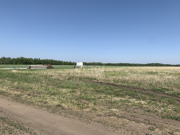 
  Продается земельный участок, 15.7 соток, село Усть-Заостровка
. Фото 3.