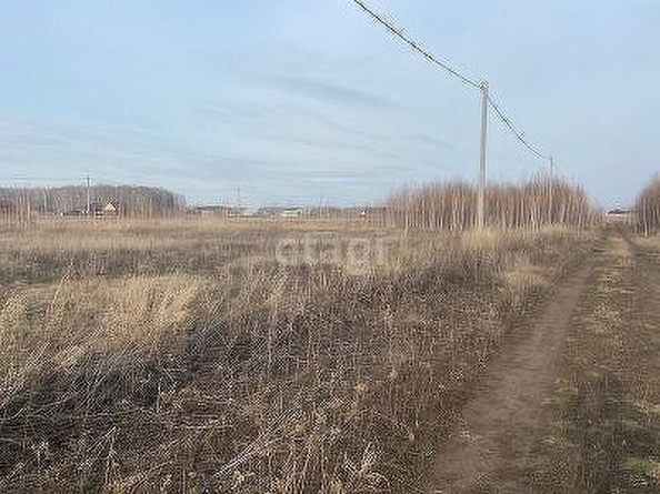 
  Продается земельный участок, 10 соток, поселок Магистральный
. Фото 4.