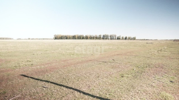 
  Продается земельный участок, 750.4 соток, село Усть-Заостровка
. Фото 2.