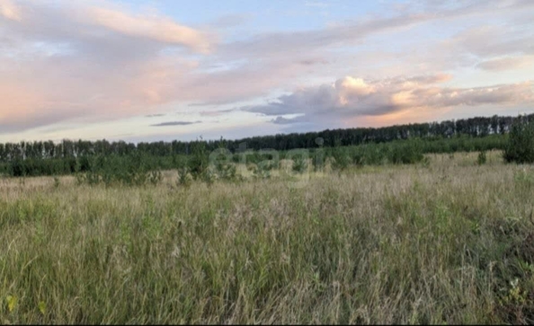 
  Продается земельный участок, 15 соток, деревня Пушкино
. Фото 1.