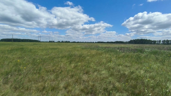 
  Продается земельный участок, 13 соток, село Ребровка
. Фото 2.