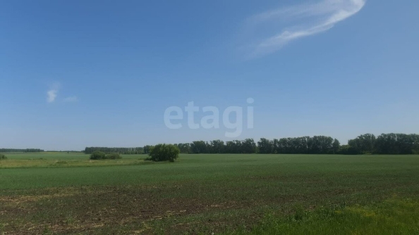 
  Продается земельный участок, 10 соток, село Усть-Заостровка
. Фото 4.