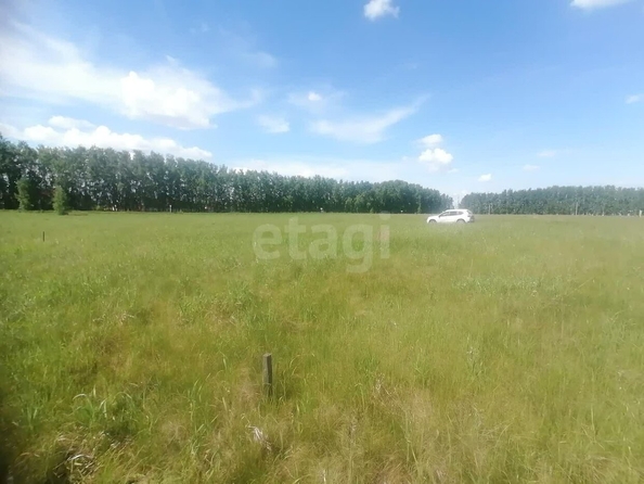 
  Продается земельный участок, 5 соток, село Усть-Заостровка
. Фото 1.