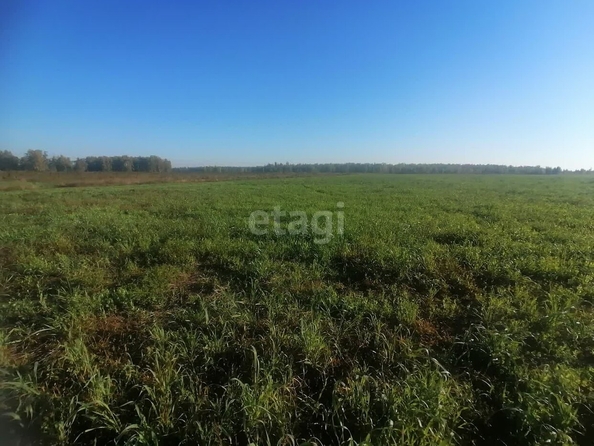 
  Продается земельный участок, 794.6 сотки, село Усть-Заостровка
. Фото 1.