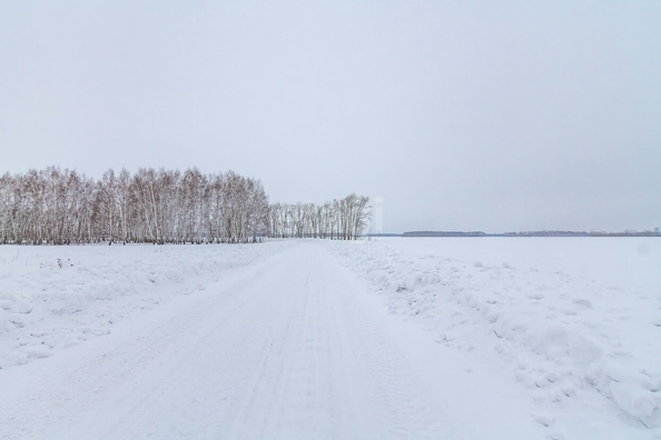 
  Продается земельный участок, 5.8 соток, деревня Пушкино
. Фото 3.