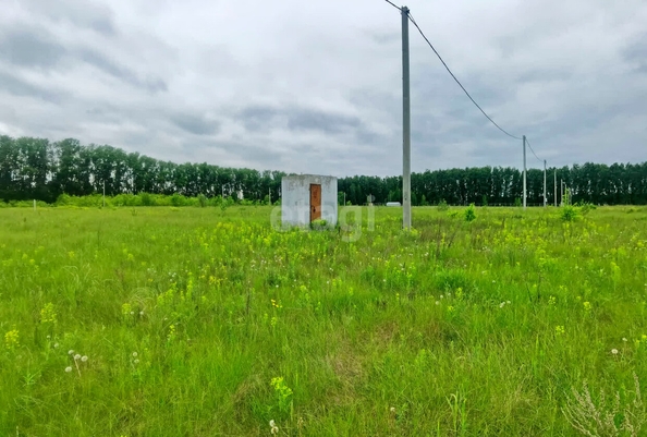 
  Продается земельный участок, 10 соток, поселок Иртышский
. Фото 2.