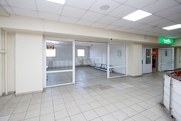 
  Сдается универсальное помещение, 33 м², Пушкина ул, д. 59
. Фото 1.