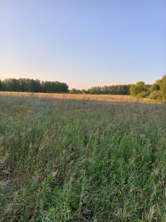 
  Продается земельный участок, 910 соток, село Усть-Заостровка
. Фото 4.