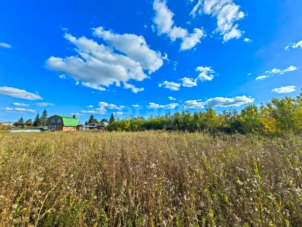 
  Продается земельный участок, 7 соток, Омск
. Фото 5.