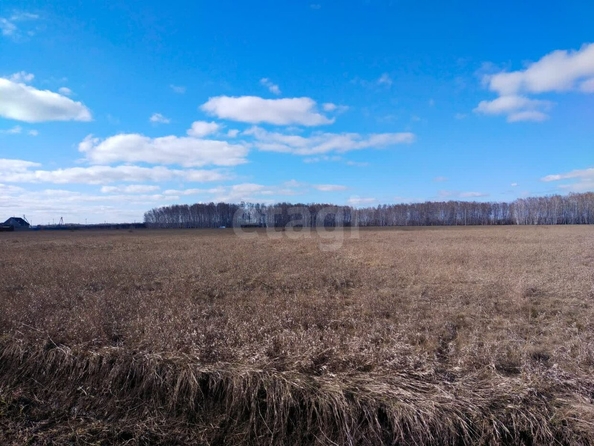 
  Продается земельный участок, 10 соток, село Новотроицкое
. Фото 4.