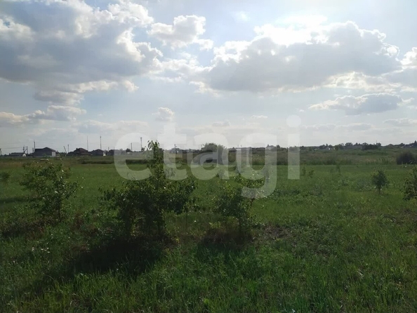 
  Продается земельный участок, 10 соток, село Ребровка
. Фото 4.