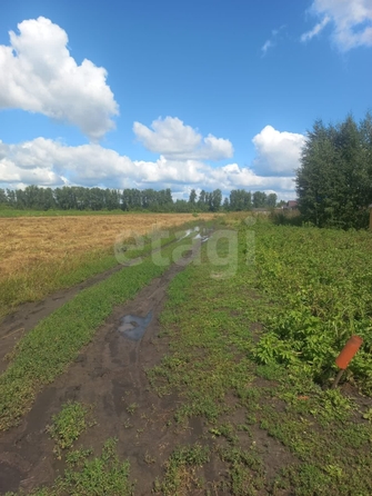 
  Продается земельный участок, 180 соток, микрорайон Омский
. Фото 5.