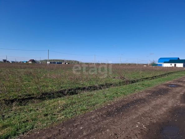 
  Продается земельный участок, 5 соток, село Ребровка
. Фото 2.