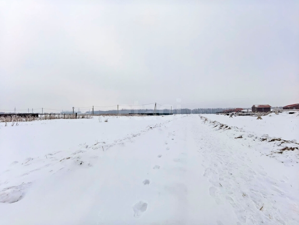 
  Продается земельный участок, 10 соток, деревня Пушкино
. Фото 1.
