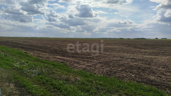 
  Продается земельный участок, 1390 соток, село Борисовское
. Фото 4.