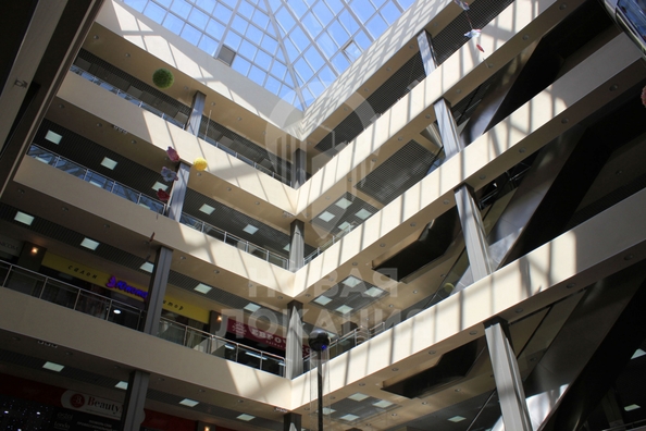 
  Сдается торговая площадь, 100 м², Комарова пр-кт, д. 6/1
. Фото 17.