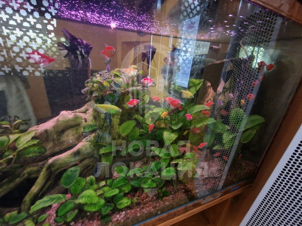 
  Сдается универсальное помещение, 280 м², Фрунзе ул, д. 40
. Фото 29.