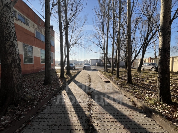 
  Сдается офис, 182 м², Молодежная 3-я ул, д. 81А
. Фото 13.