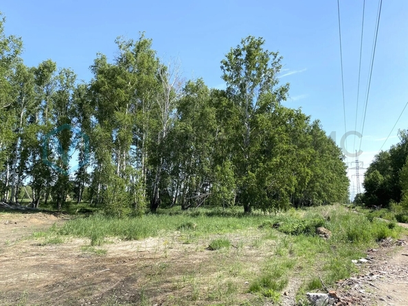 
  Продается земельный участок 10.3 соток, в КП Новая Ракитинка. Фото 2.