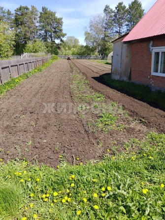 
  Продам  дачный участок, 18.6 соток, Тимирязевское

. Фото 5.