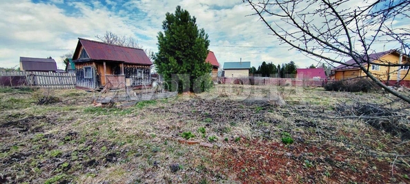 
  Продам  дачный участок, 30 соток, Корнилово

. Фото 4.