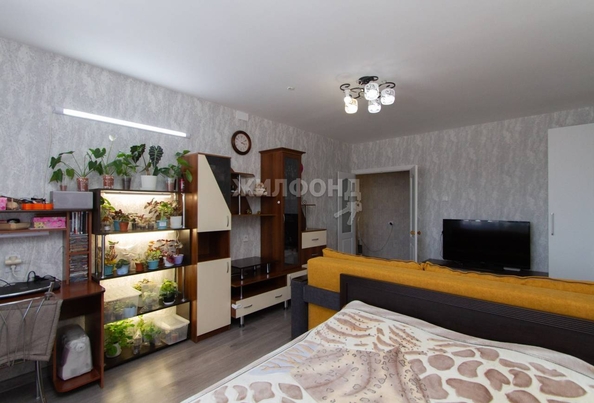 
   Продам 3-комнатную, 80.4 м², Андрея Крячкова ул, 21

. Фото 3.