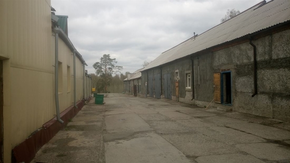 
  Сдается склад, 105 м², Бориса Пастернака (Апрель Поселок тер.) ул, д. 87
. Фото 4.