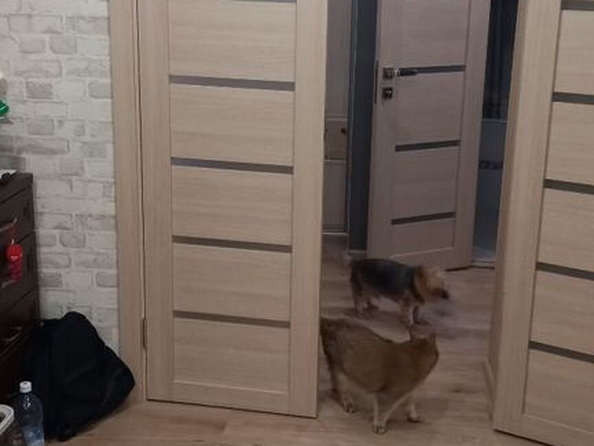 
  Продается 1-комн. квартира, 48.4 м², Калинина ул, д. 135
. Фото 9.