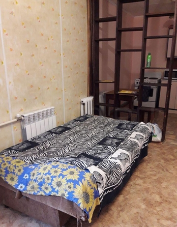 
   Продам 1-комнатную, 30 м², Алтайская ул, 76/1

. Фото 8.