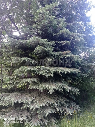 
  Продам  дачный участок, 4.86 соток, Томск

. Фото 5.