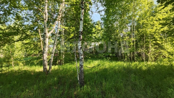 
  Продам  дачный участок, 13.2 соток, Синий Утёс

. Фото 7.