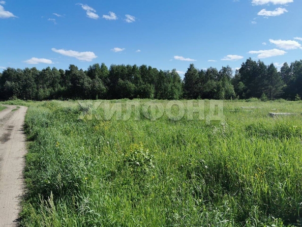 
  Продам  дачный участок, 15 соток, Кафтанчиково

. Фото 1.