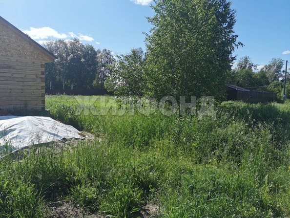 
  Продам  дачный участок, 15 соток, Кафтанчиково

. Фото 4.