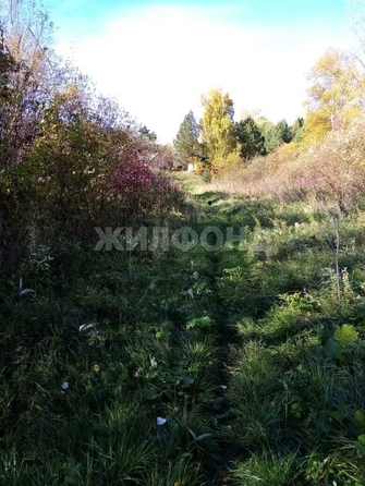 
   Продам дом, 60 м², Кривошеино

. Фото 12.